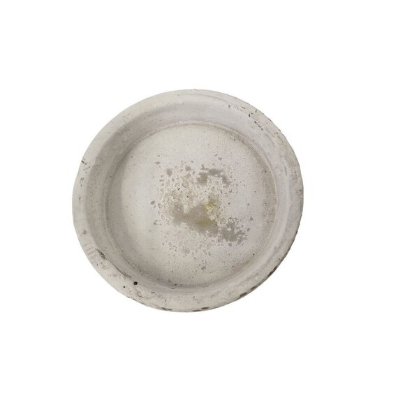 Glass Terrarium with White Concrete Base Modern Rustic Home Decor 8 Inches Tall - Picture 7 of 14